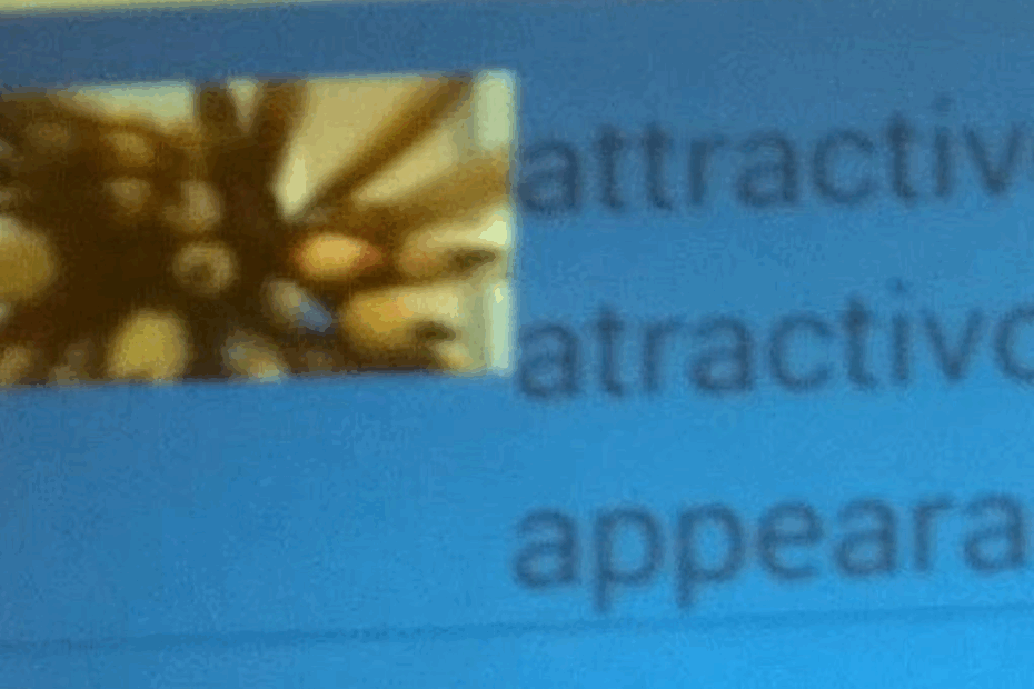 English Adjectives APK For Android Download