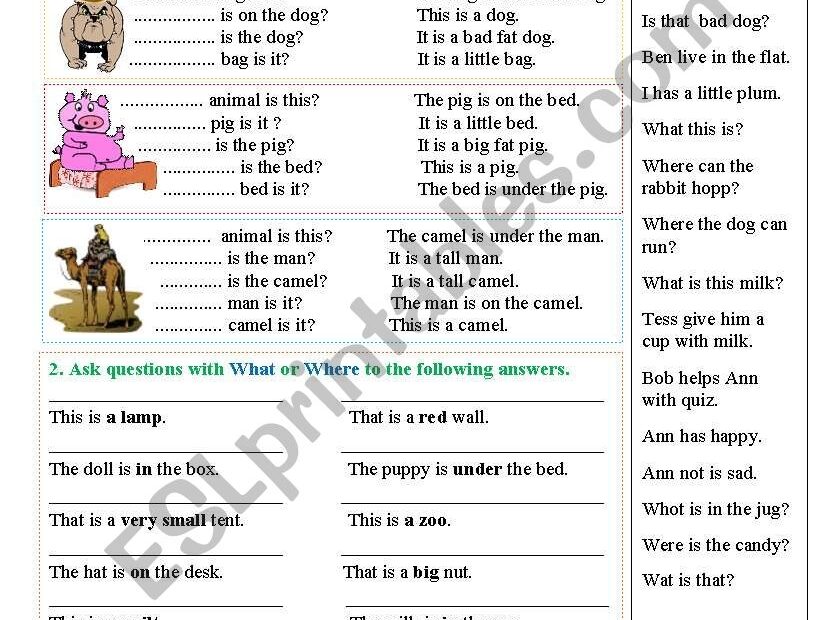 English Grammar Exercises For Beginners