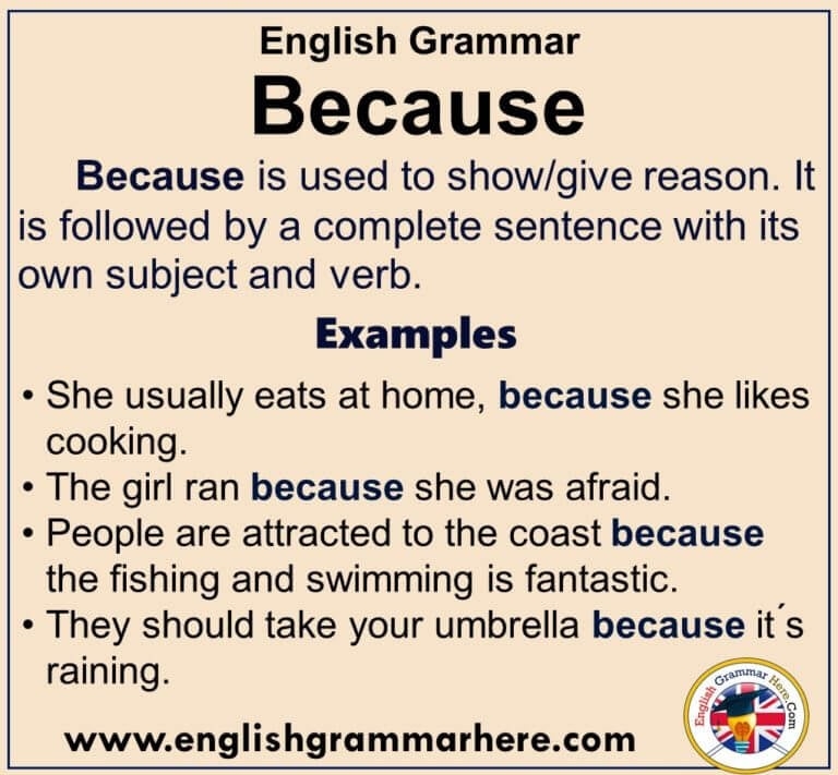 English Grammar Using Because Definiton And Example Sentences 