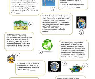 Environment Vocabulary Study