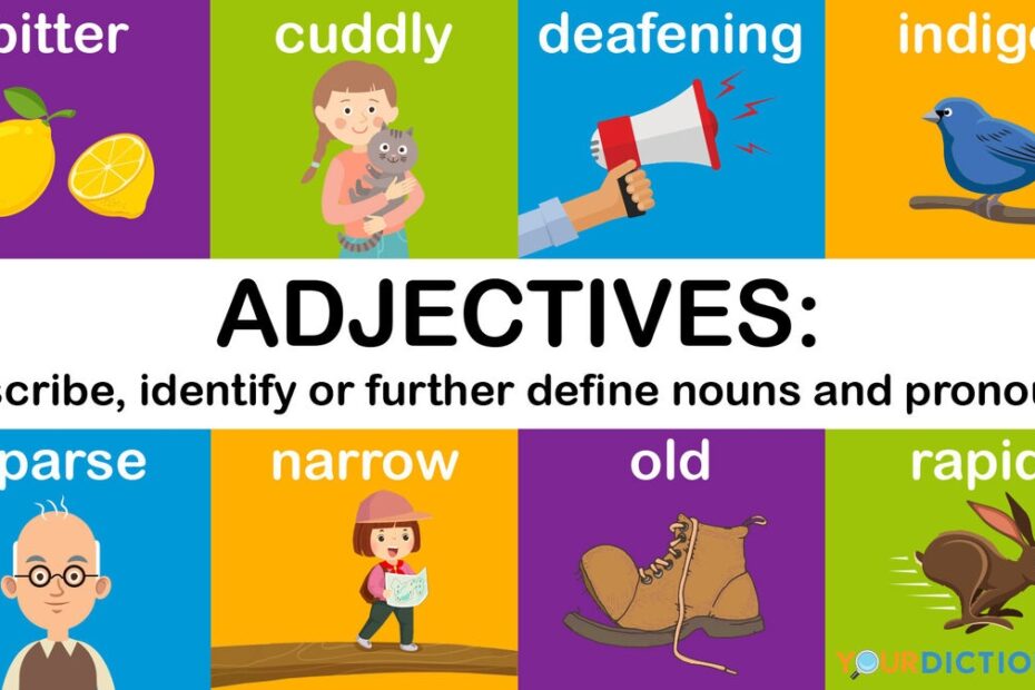 Examples Of Adjectives And How To Use Them YourDictionary