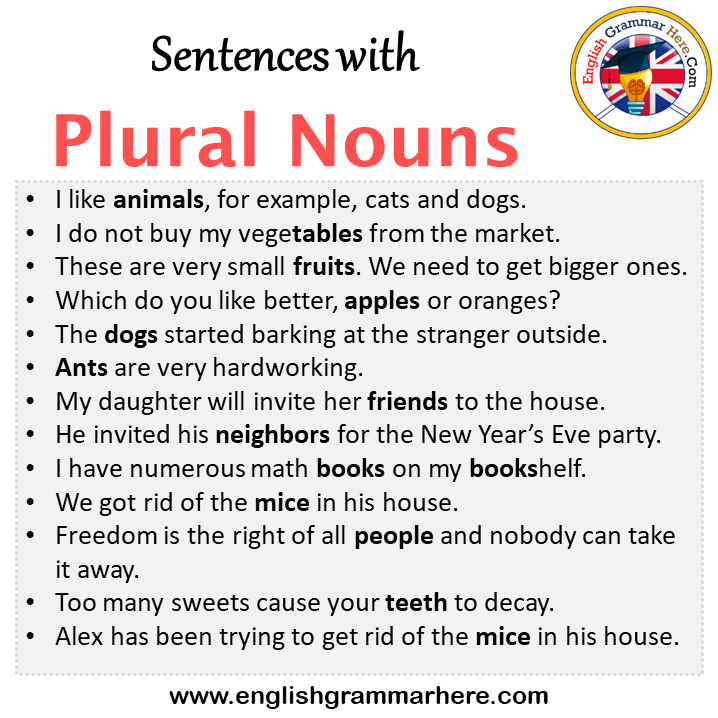 Examples Of Plural Noun Plural Noun Examples Plurals 44 OFF