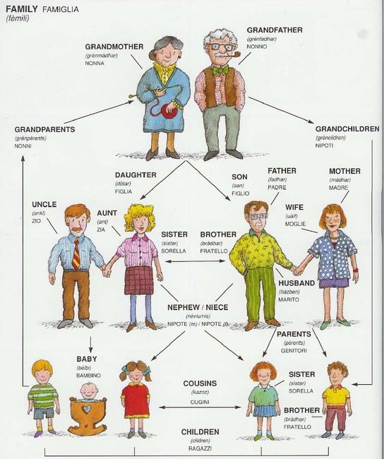 Family Vocabulary Visual Vocabulary Study English Learn Site