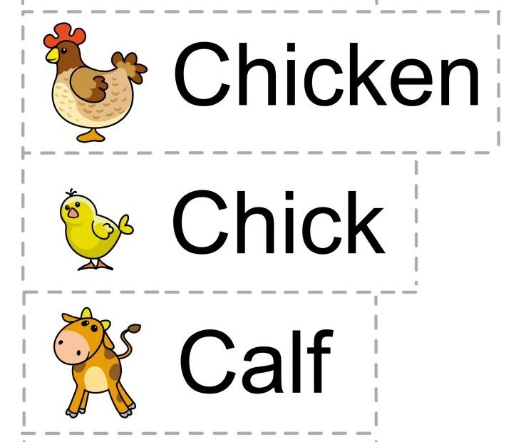 Farm Animals Theme For Preschool Vocabulary Words 2 TeachersMag