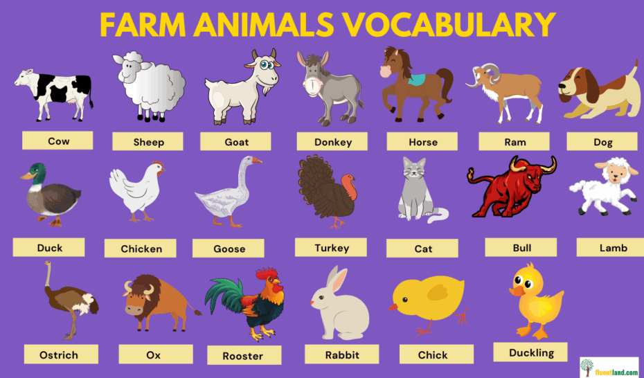 Farm Vocabulary Word List Fluent Land