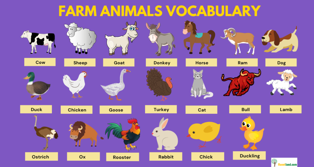 Farm Vocabulary Word List Fluent Land
