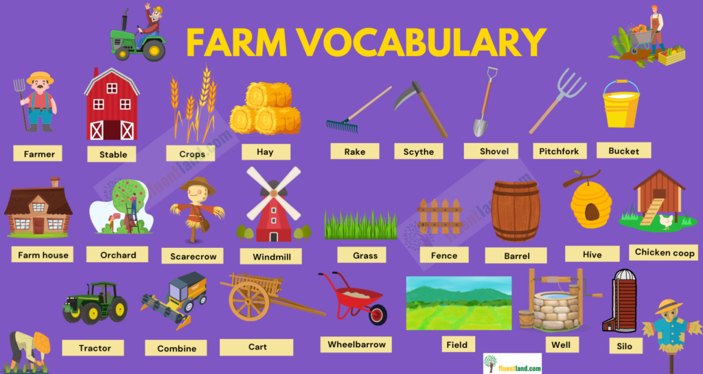 vocabulary in use vocabulary in use