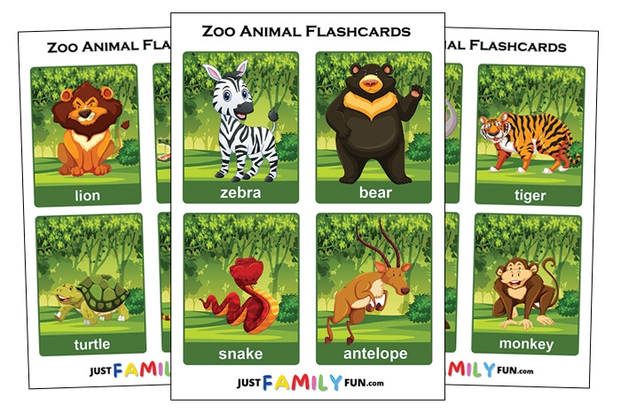 animals flashcards list
