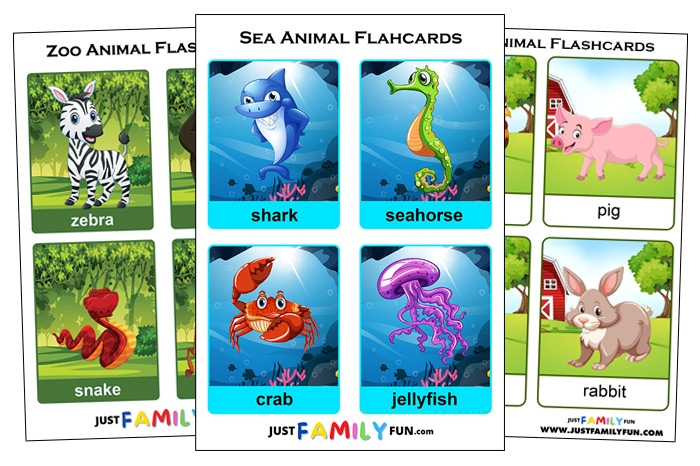 animals flashcards
