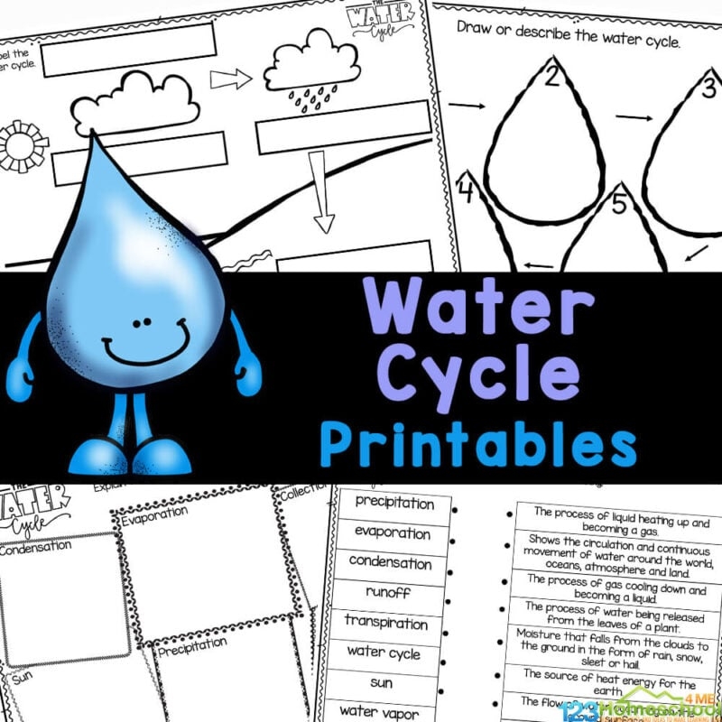  FREE Printable Water Cycle Worksheets For Kids Worksheets Library