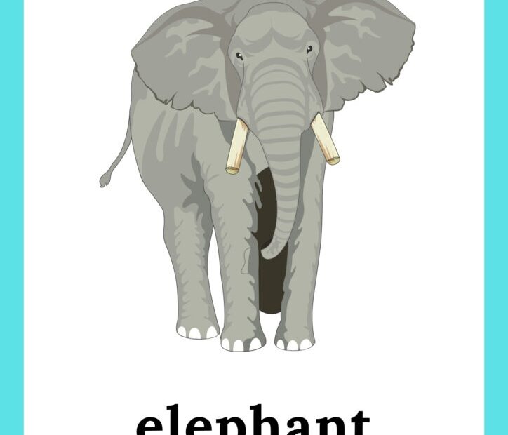 Free Wild Animals Flashcards Worksheetspack