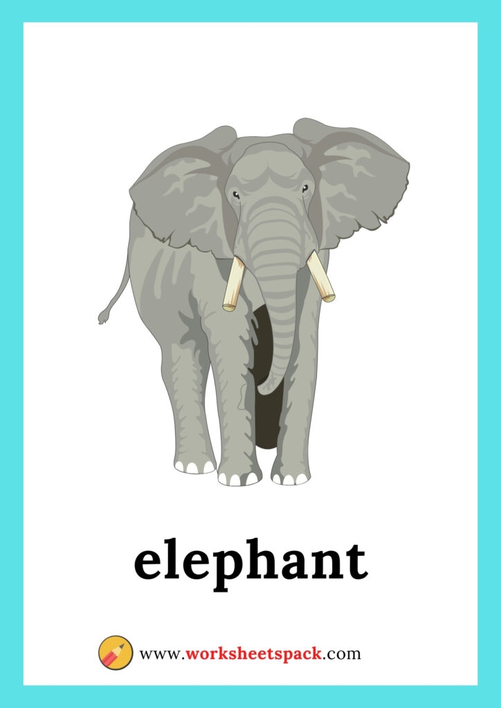 Free Wild Animals Flashcards Worksheetspack