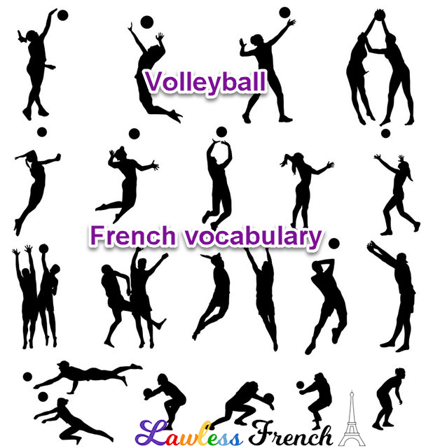 French Volleyball Terms Lawless French Vocabulary