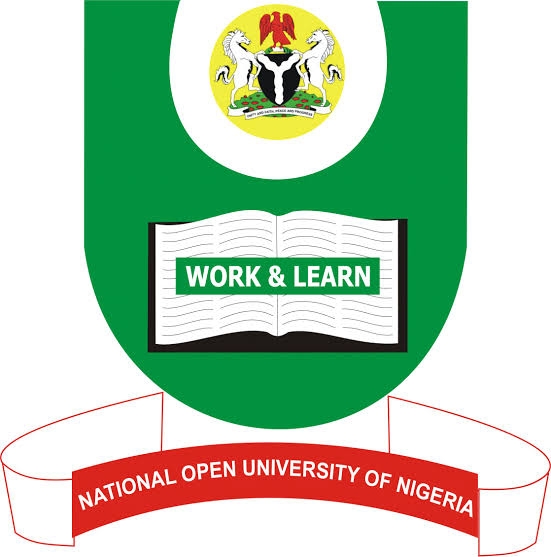noun university nigeria