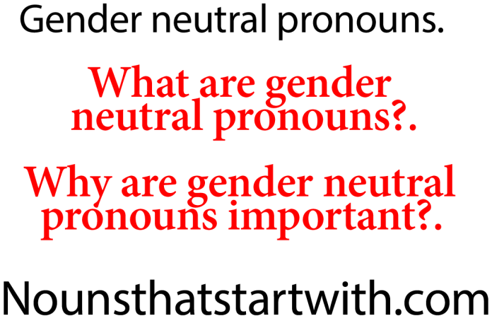 gender neutral pronouns list