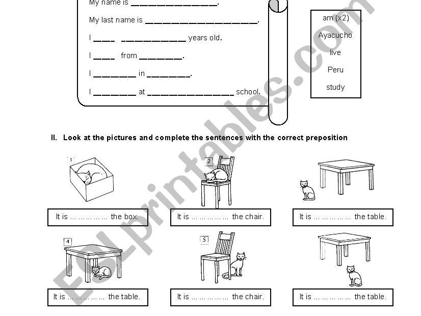Grammar Examination ESL Worksheet By Hadadeanis