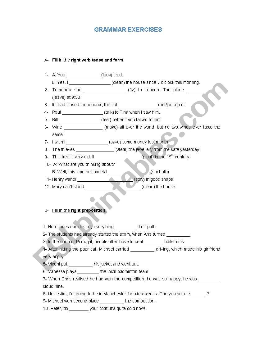 Grammar Exercises With Answer Key ESL Worksheet By Jungle