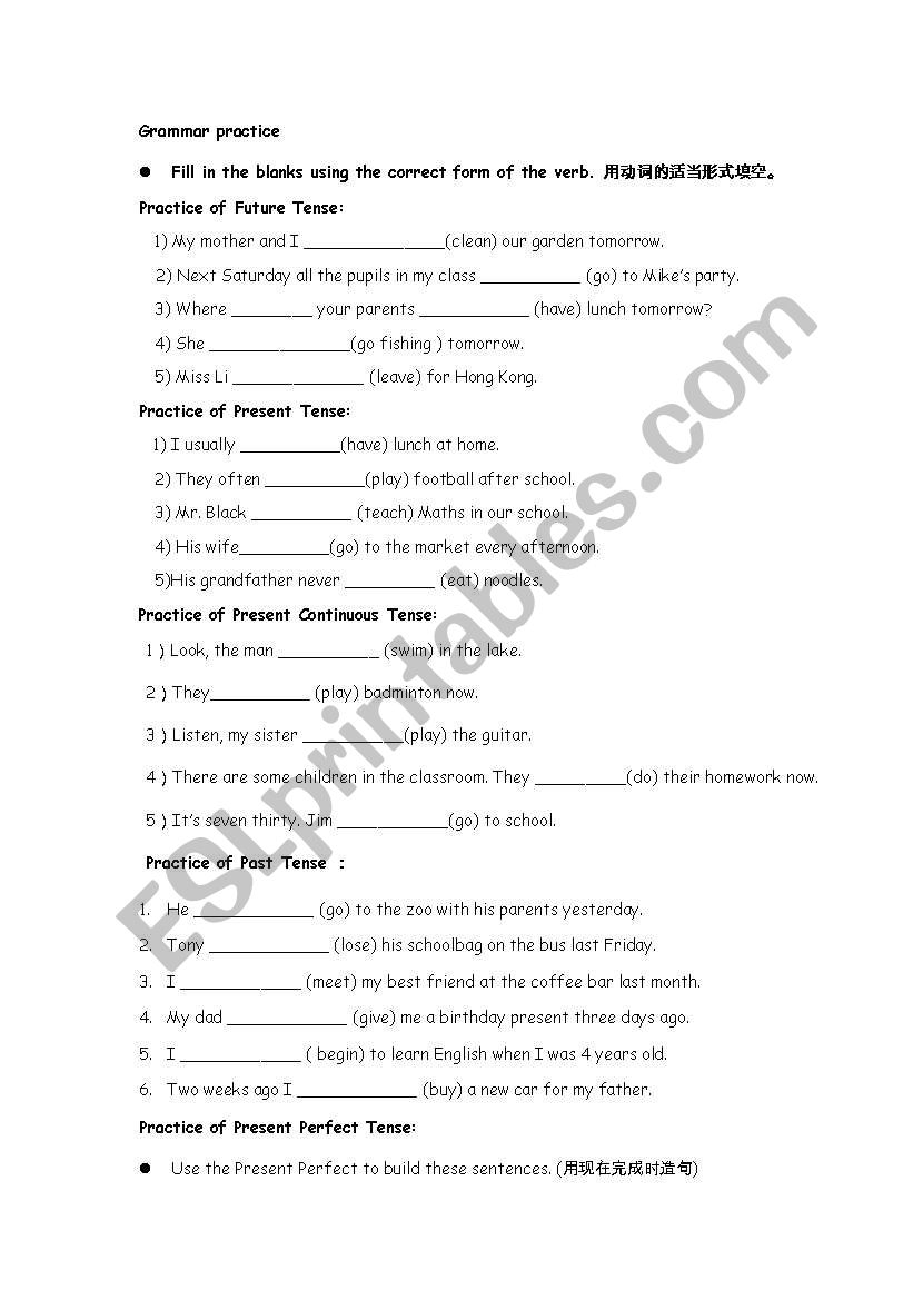 Grammar Practice ESL Worksheet By Soodog