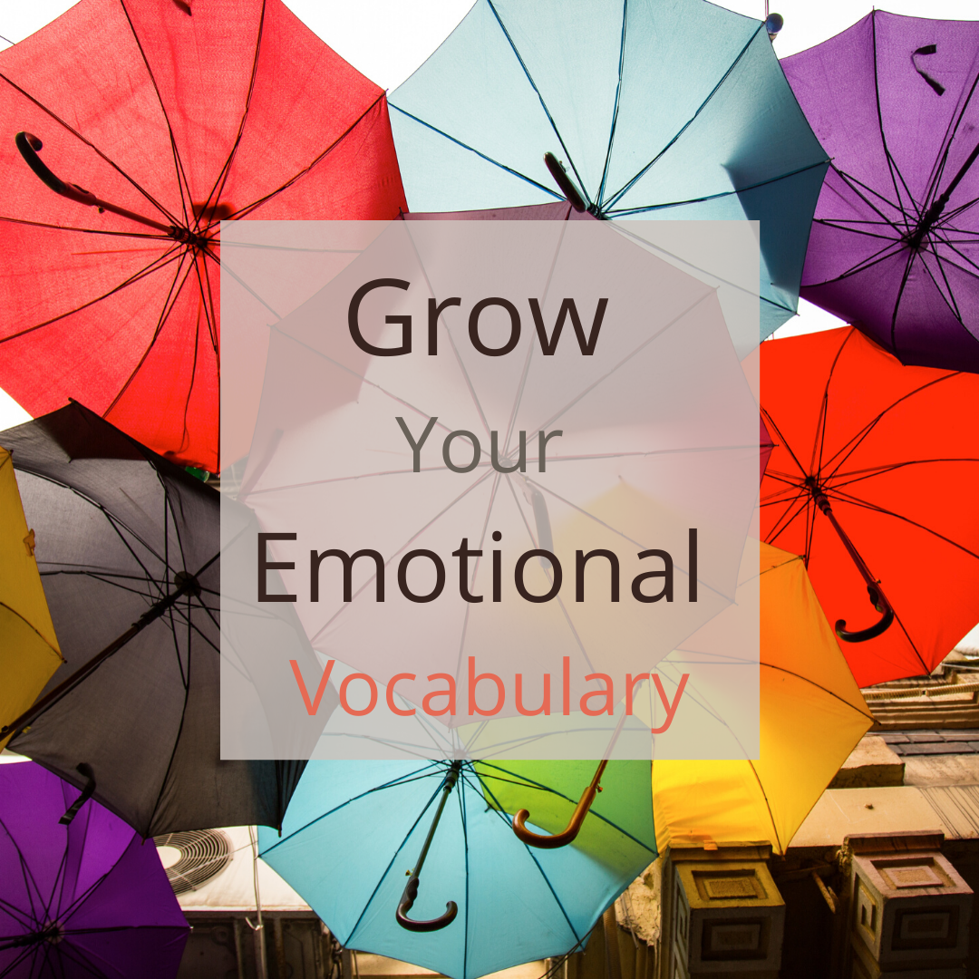 how to grow vocabulary how to grow vocabulary