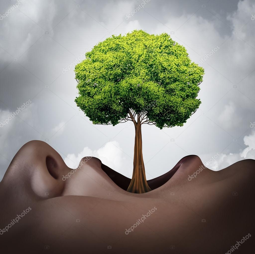 Growing Your Vocabulary Stock Photo Lightsource 100383678