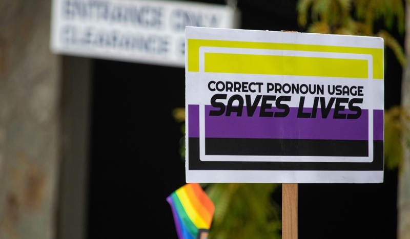 Harris Campaign Job Application Asks Pronouns fae faer hir hir 