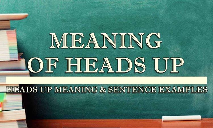 Heads Up Meaning Sentence Examples