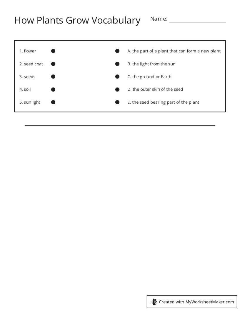 How Plants Grow Vocabulary My Worksheet Maker Create Your Own Worksheets