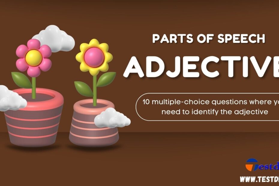 How To Identify Adjective In A Sentence With Quiz Testdly