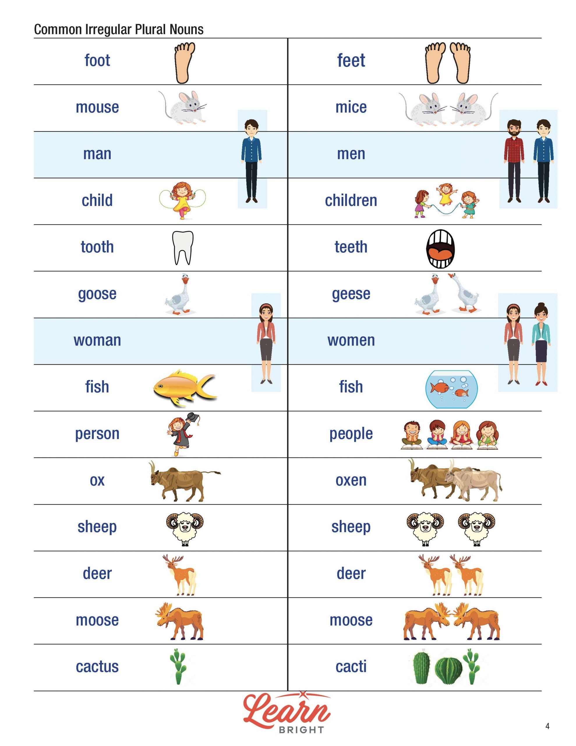 plural of nouns plural of nouns
