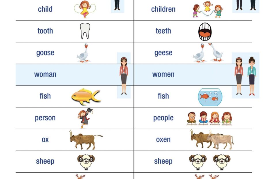 Irregular Nouns Worksheets Irregular Plural Nouns Worksheets Nouns