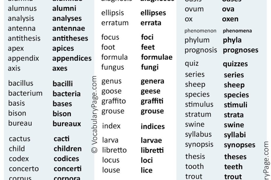 Irregular Plural Nouns