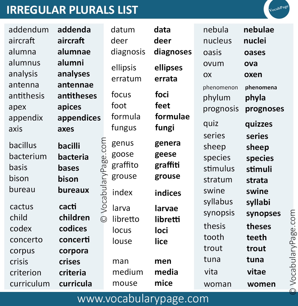 Irregular Plural Nouns