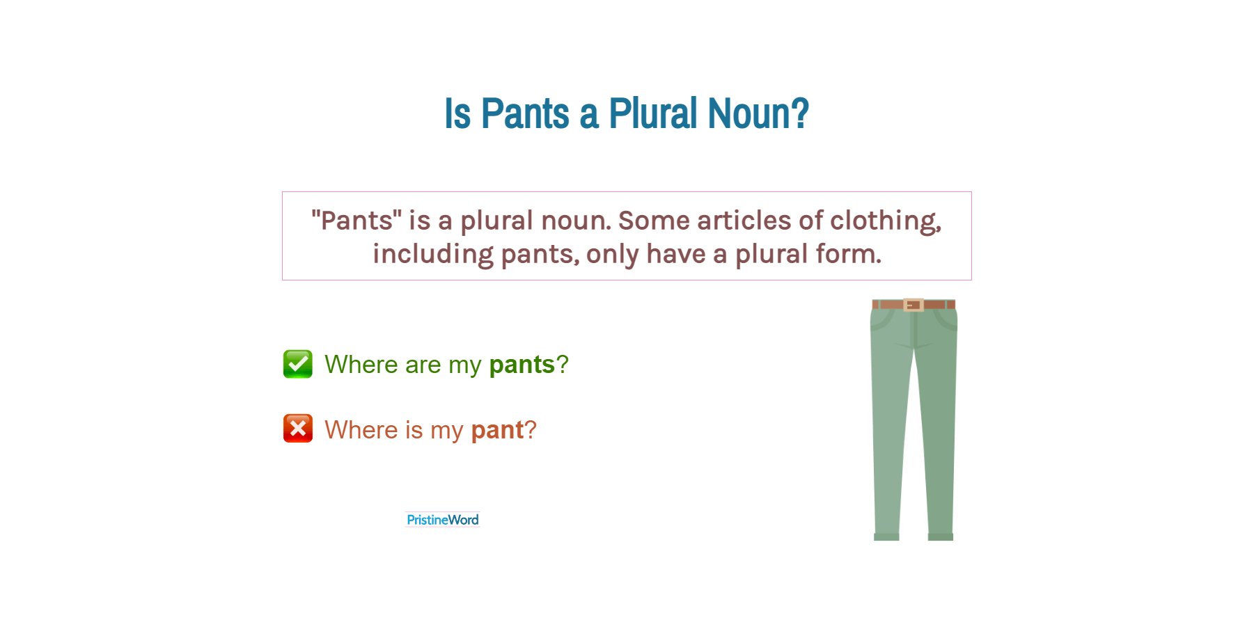 Is Pants A Plural Noun 