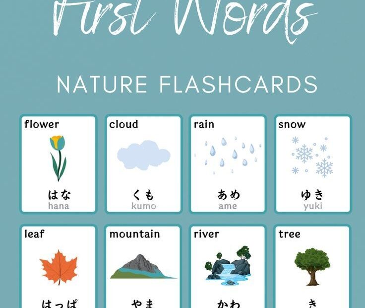 Japanese First Words Flashcards Printable PDF Cards Japanese Language