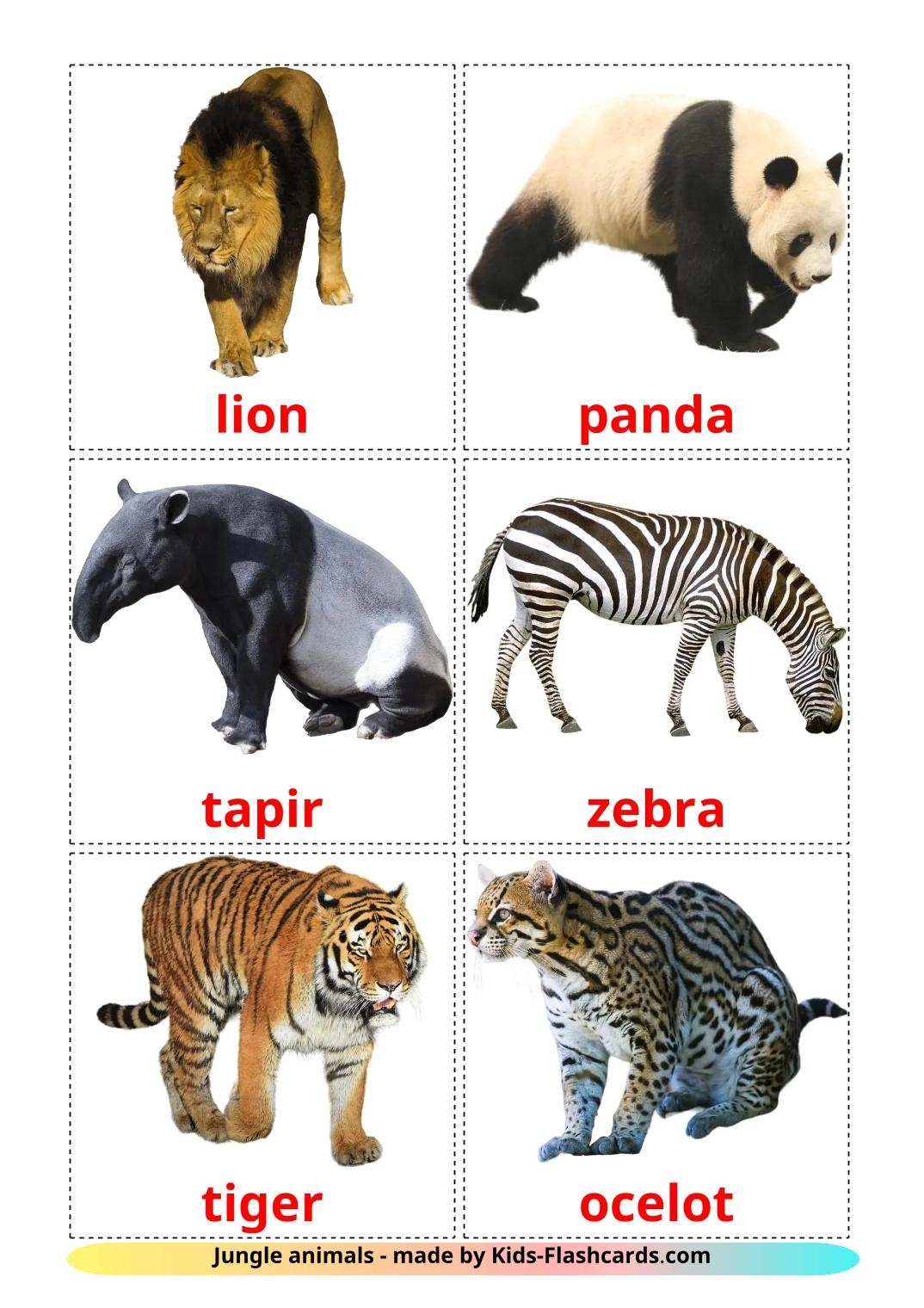 Jungle Animals Flash Cards Printable Cards Flashcards Vrogue co