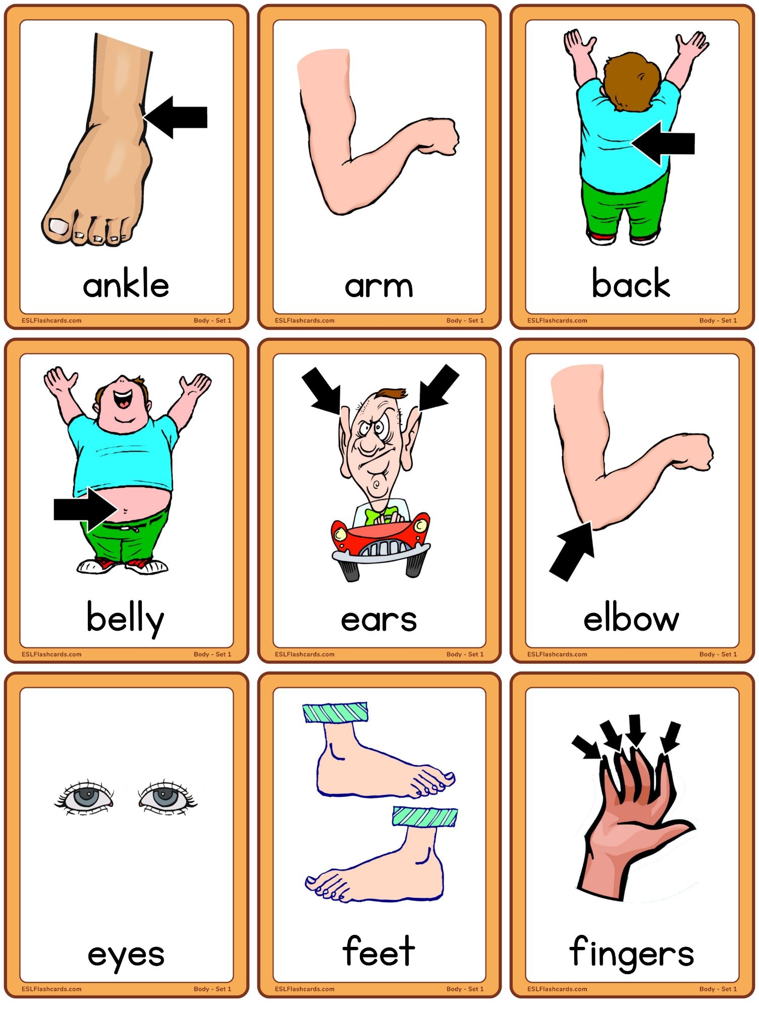 Kindergarten Flashcards ESL Flashcards