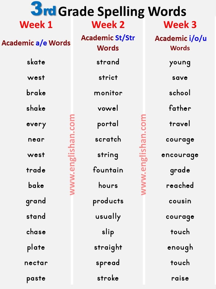 vocabulary words for third graders