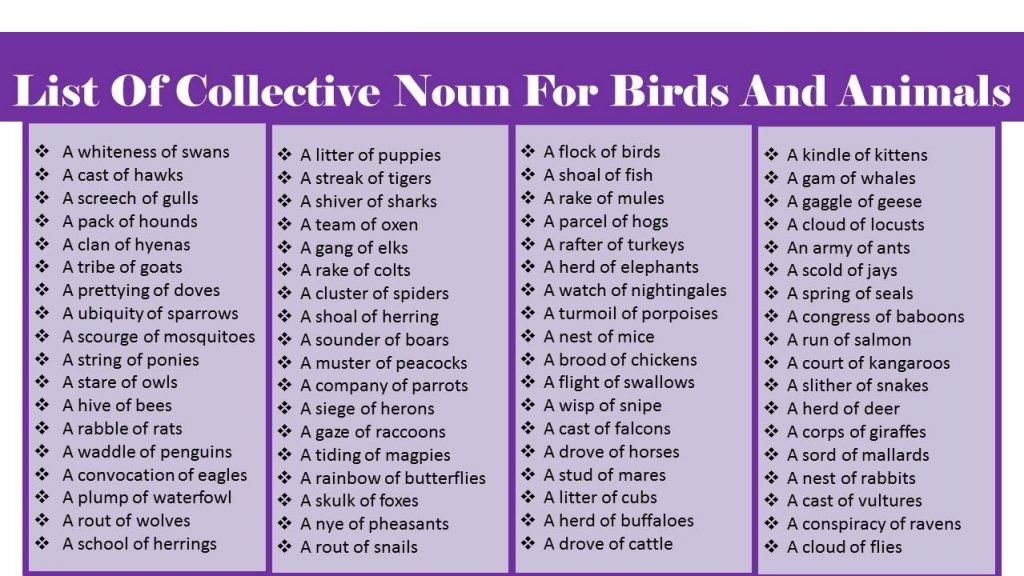 List Of Collective Noun For Animals And Birds Mammals Reptiles 