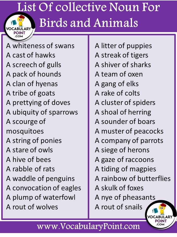 List Of Collective Noun For Animals And Birds Mammals Reptiles 