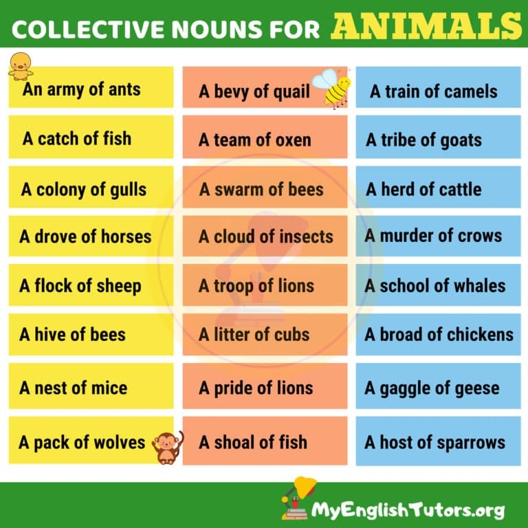 group nouns for animals