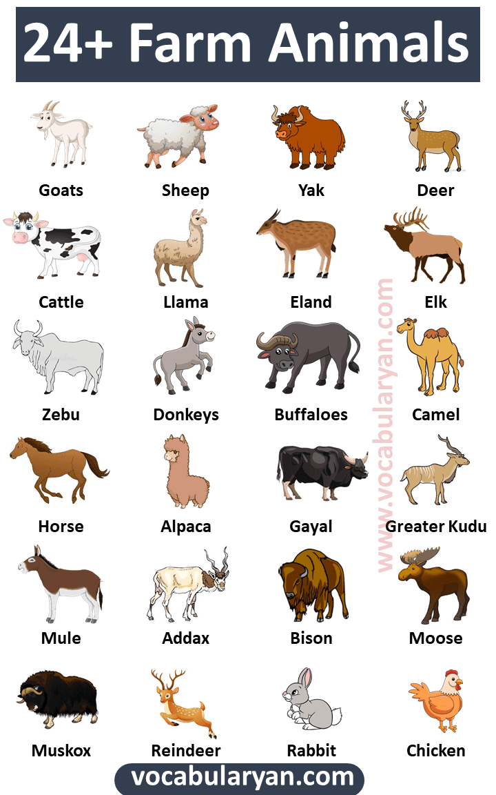 List Of Farm Animals Vocabulary VocabularyAN
