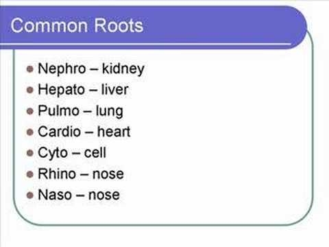 List Of Medical Roots Suffixes And Prefixes