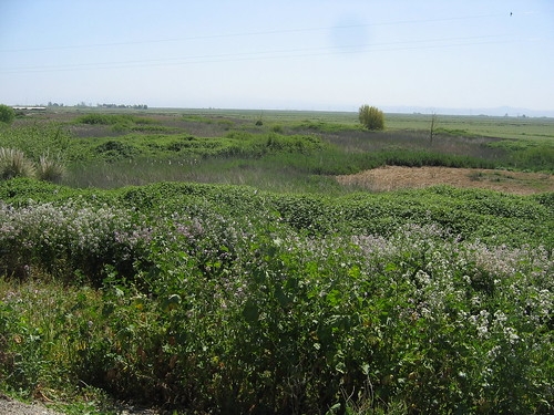 Macbeth Vocabulary Act I Flashcards Quizlet