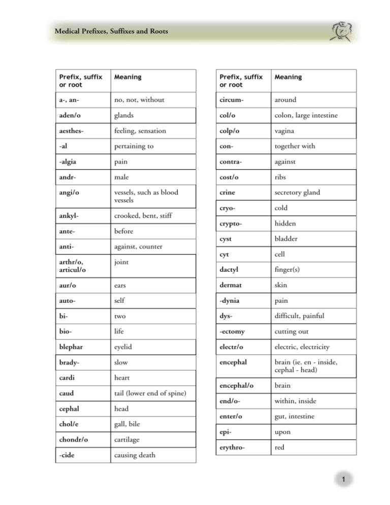 Medical Prefixes Suffixes And Roots A Quick Reference Guide