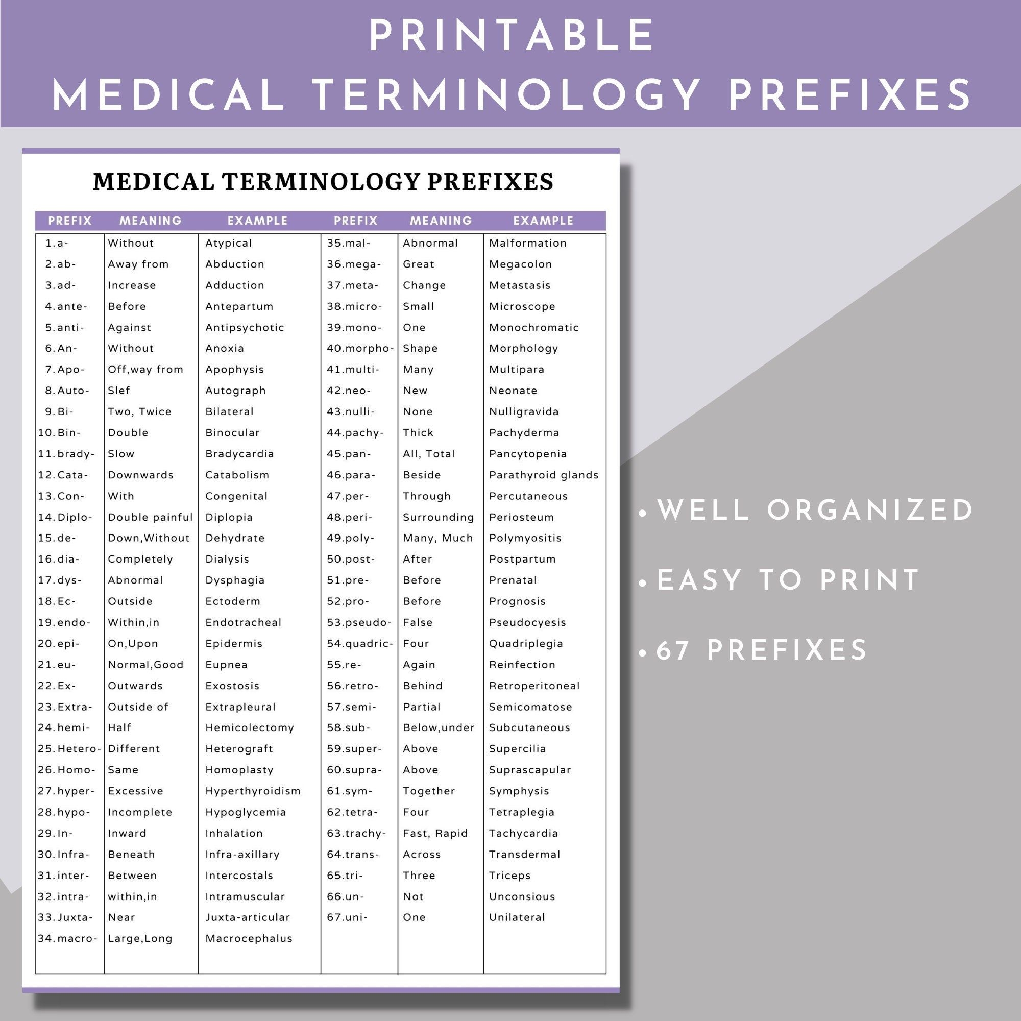 Medical Terminology Flashcards Medical Terminology Prefixes And 