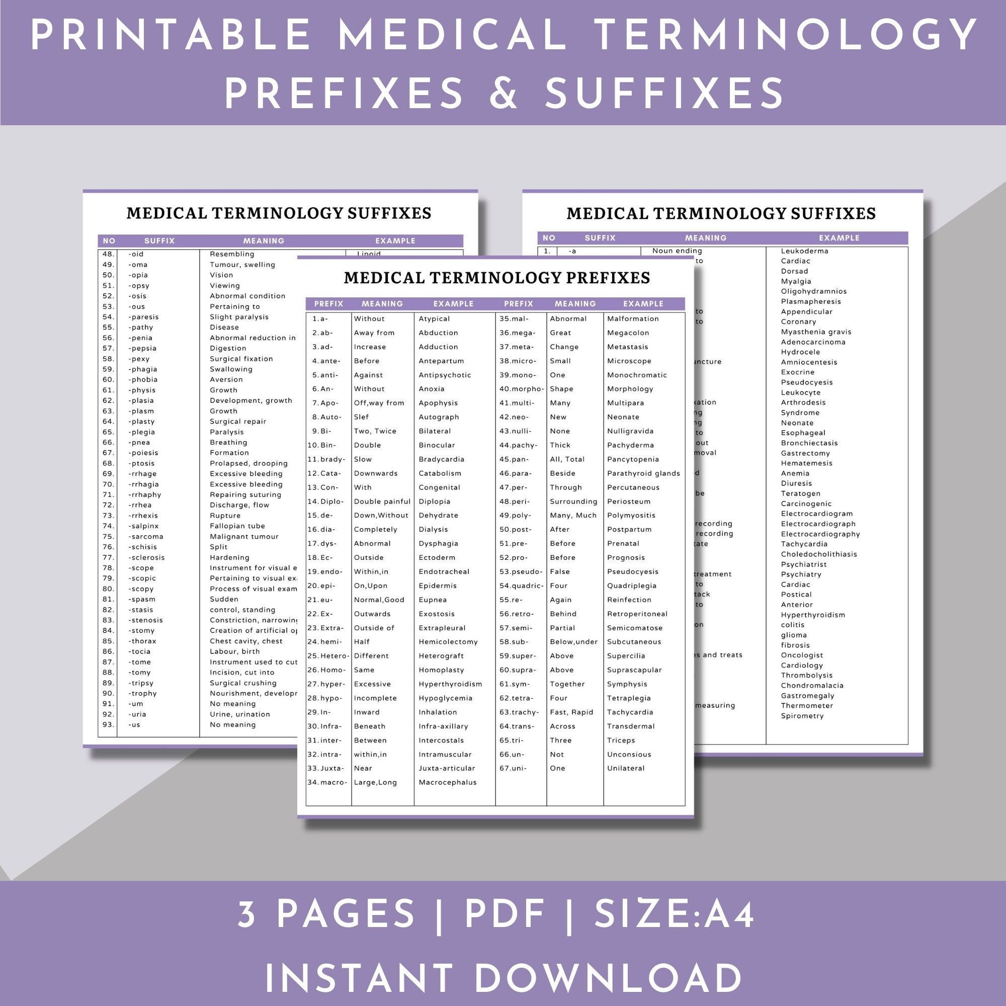 Medical Terminology Flashcards Medical Terminology Prefixes And 