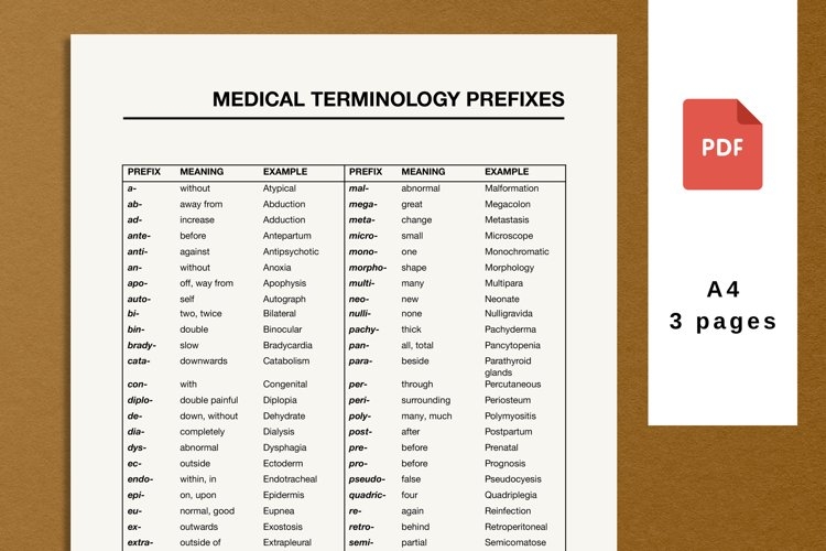 Medical Terminology List Prefixes And Suffixes Pdf Worksheets Library