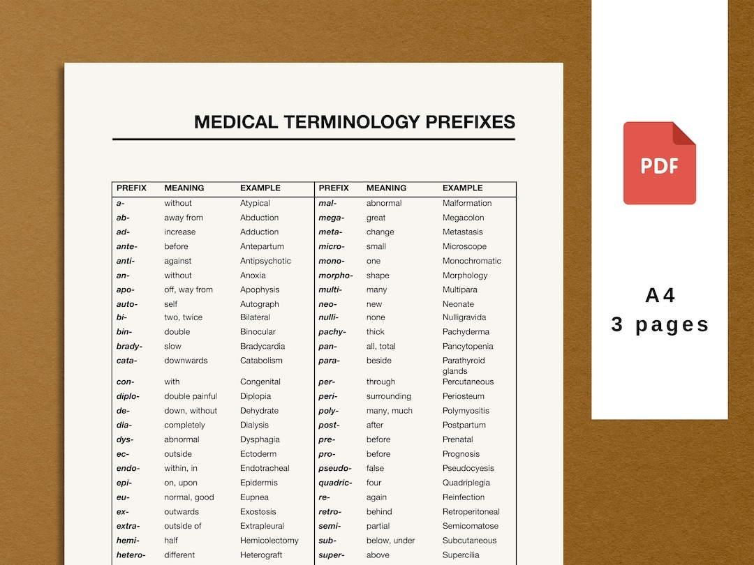 Medical Terminology List Printable Pdf Medical Prefixes And Suffixes