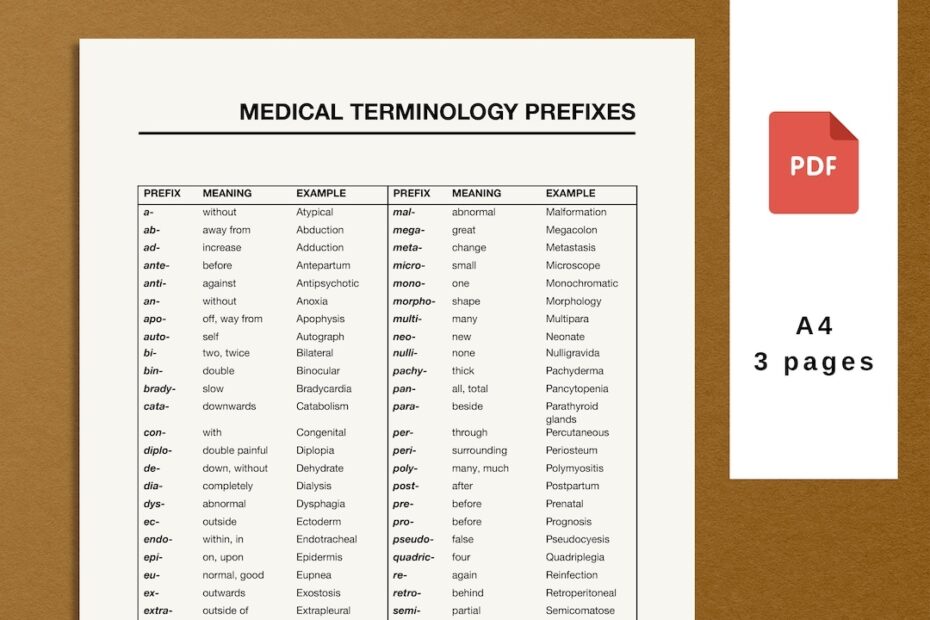 Medical Terminology List Printable Pdf Medical Prefixes And Suffixes
