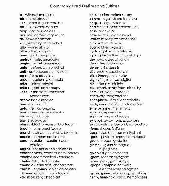 Medical Terminology Prefixes And Suffixes Worksheets Worksheets Master